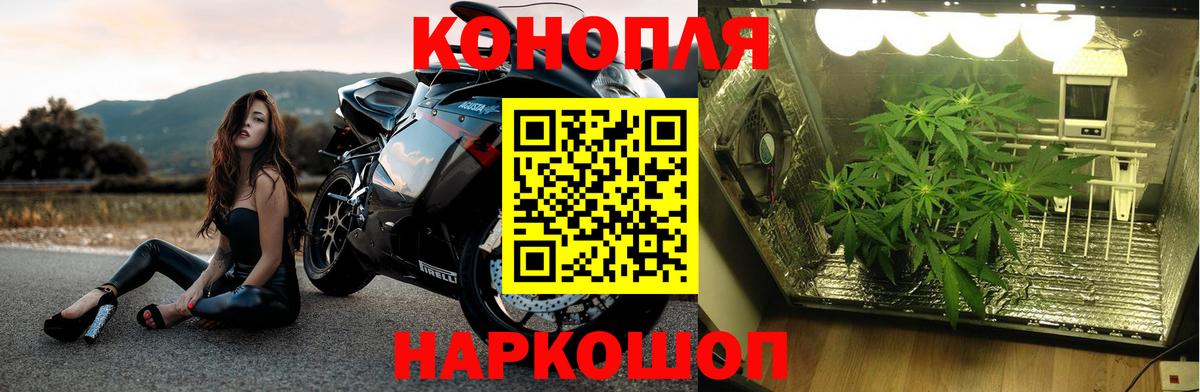 МАРИХУАНА семена Батайск